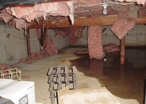 Fiberglass dripping off of the ceilings of a Fredericksburg crawl space