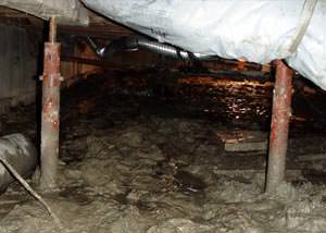 Old, corroded crawl space jack posts in Falls Church.
