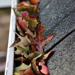 Clogged gutters filled with fall leaves  in Aldie